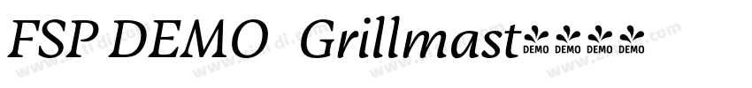FSP DEMO   Grillmast字体转换